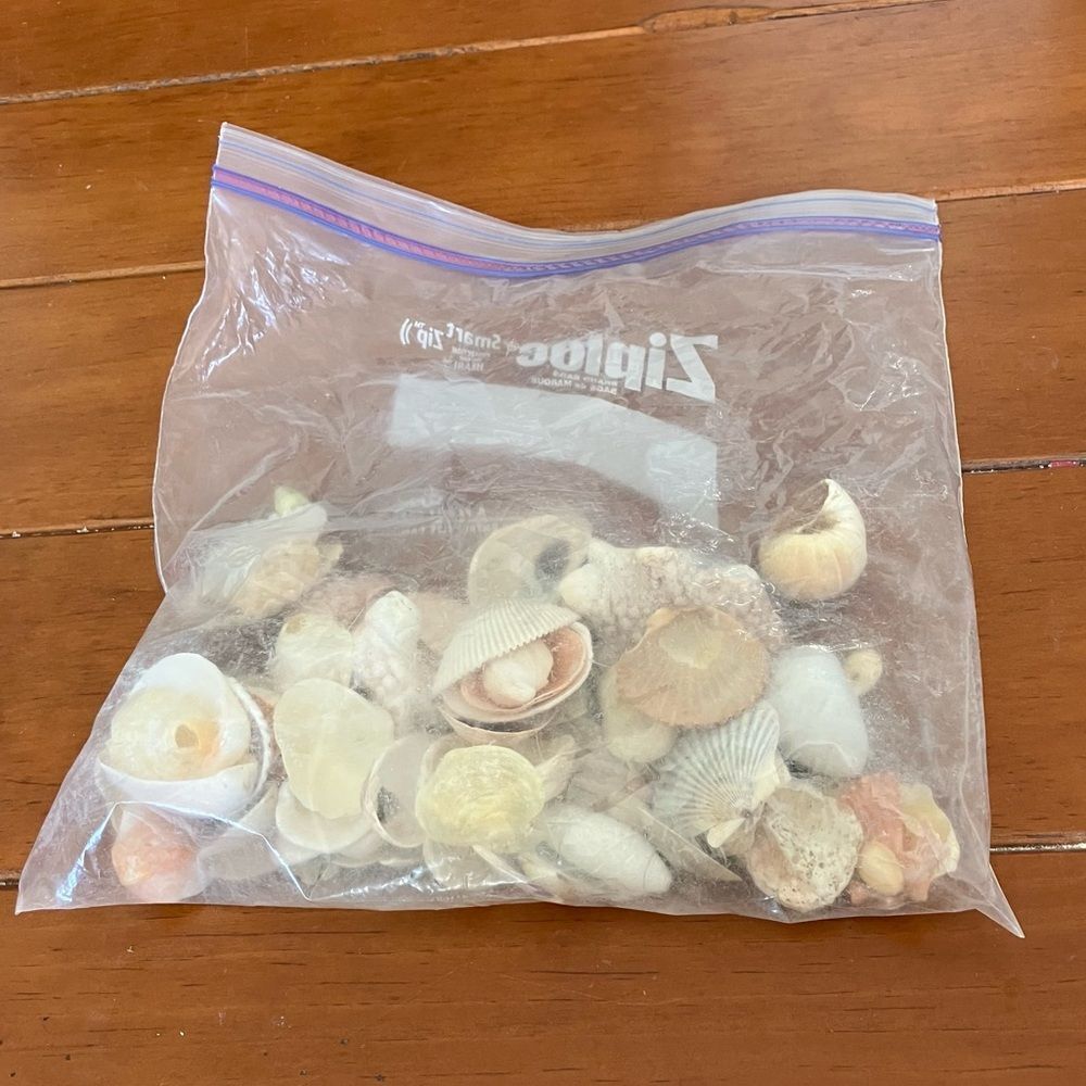 Assorted Shells
